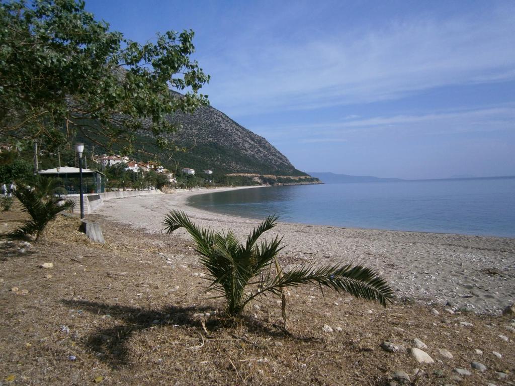 Petros Studios Poros  Exterior photo